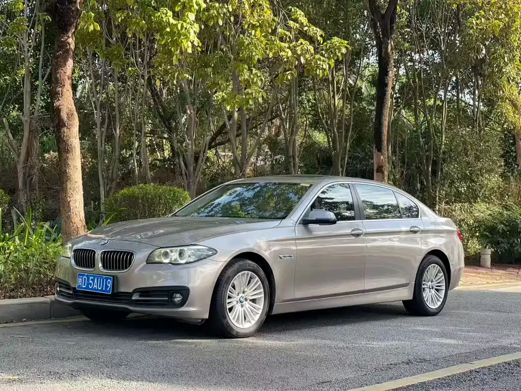 BMW 5 Series 2015 — фото 1