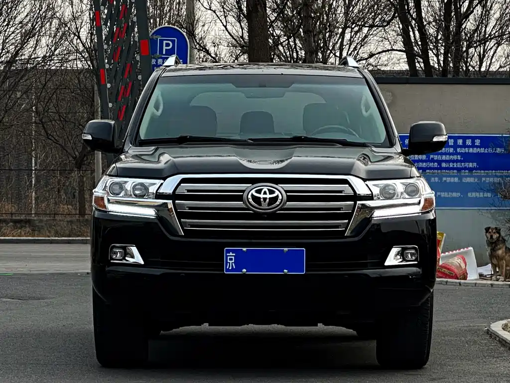 Toyota Land Cruiser 2019 — фото 2