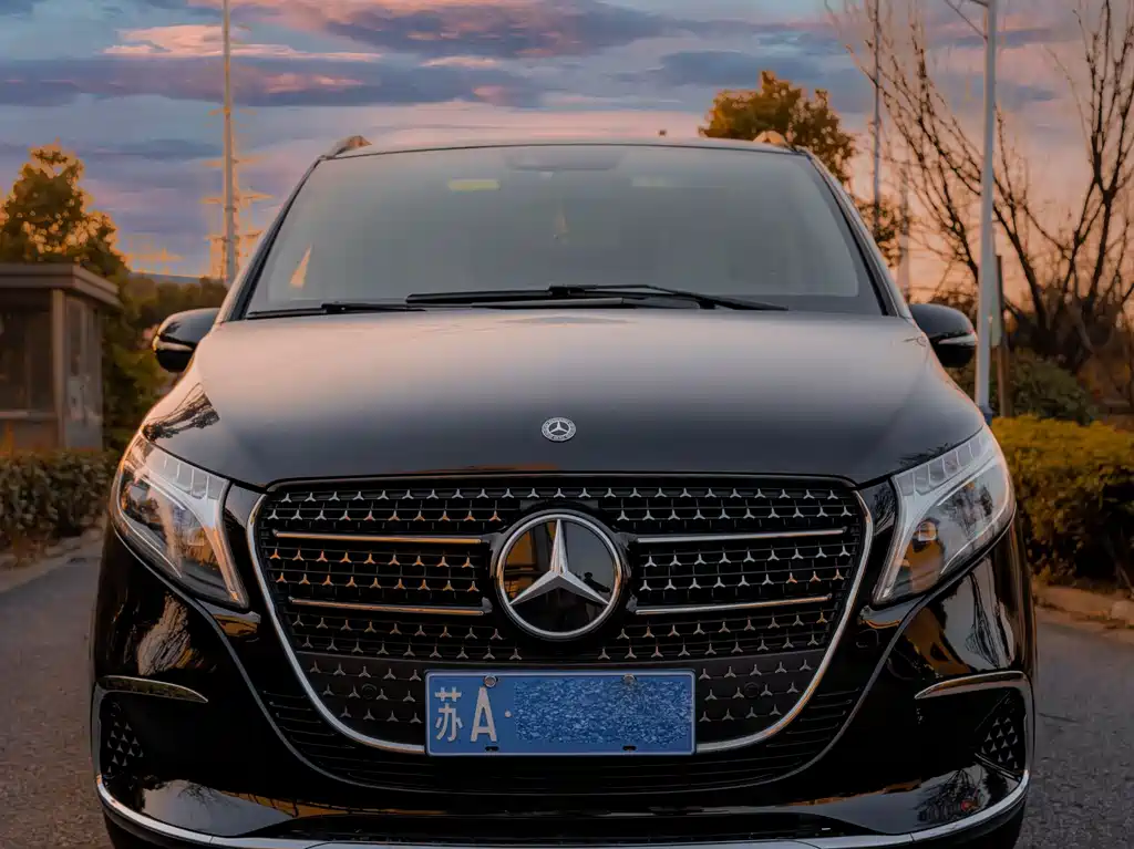 Mercedes-Benz V-Class 2019 — фото 11