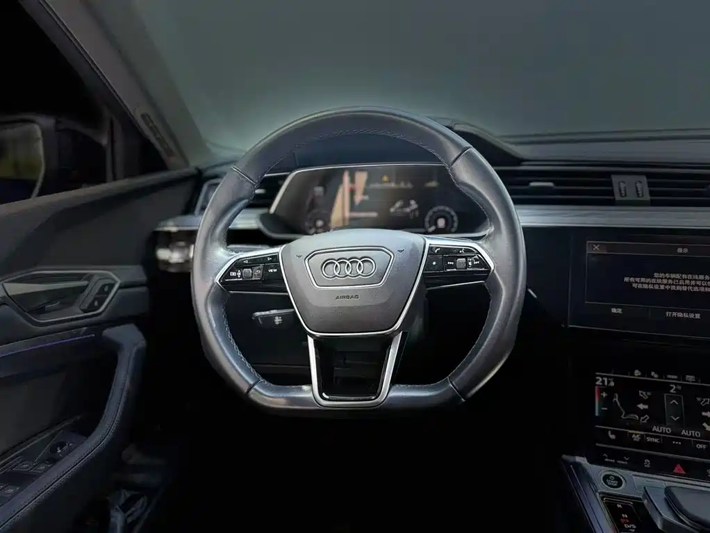 Audi e-tron 2021 — фото 14
