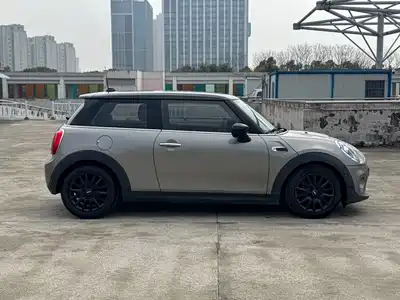 MINI MINI 2020