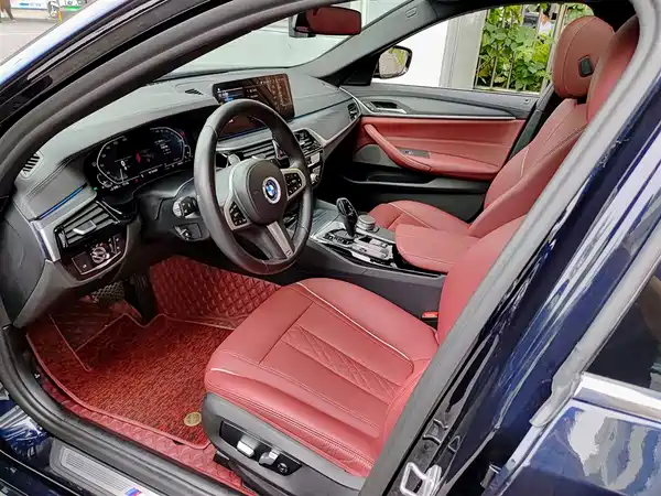 BMW 5 Series New Energy 2021