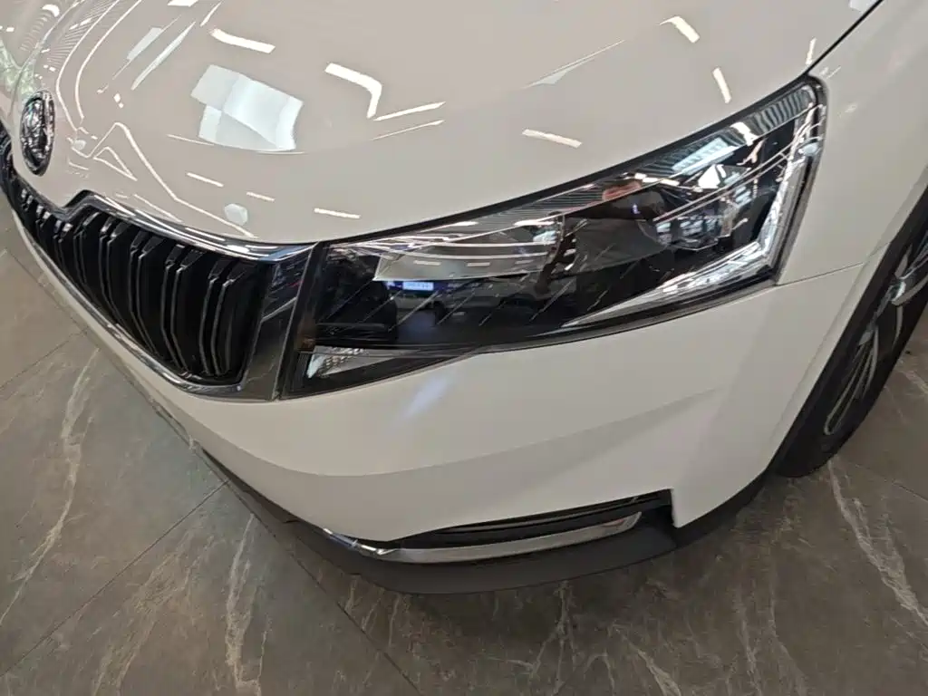Skoda Kamiq 2024 — фото 24