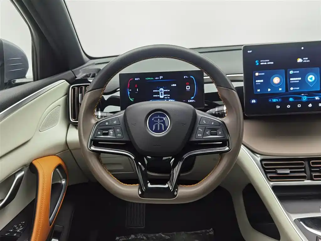 BYD Pro New Energy 2022 — фото 11
