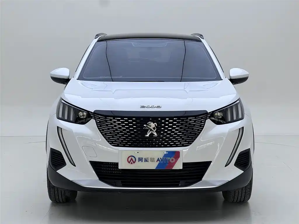Peugeot 2008 2021 — фото 17
