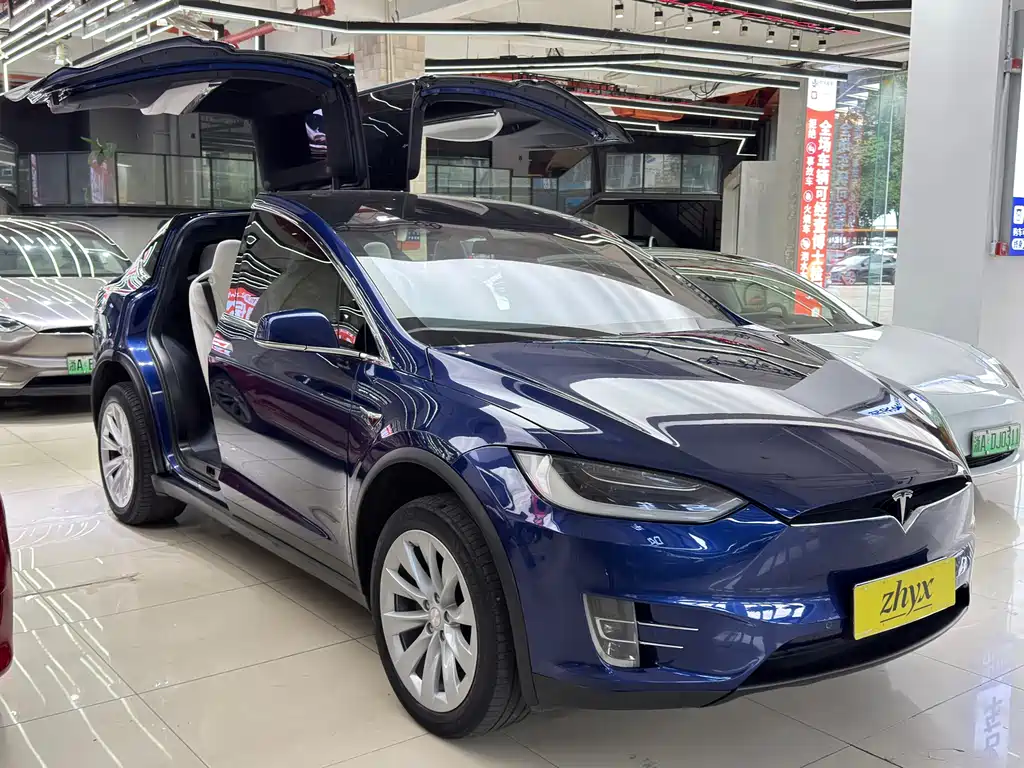 Tesla Model X 2017 — фото 3