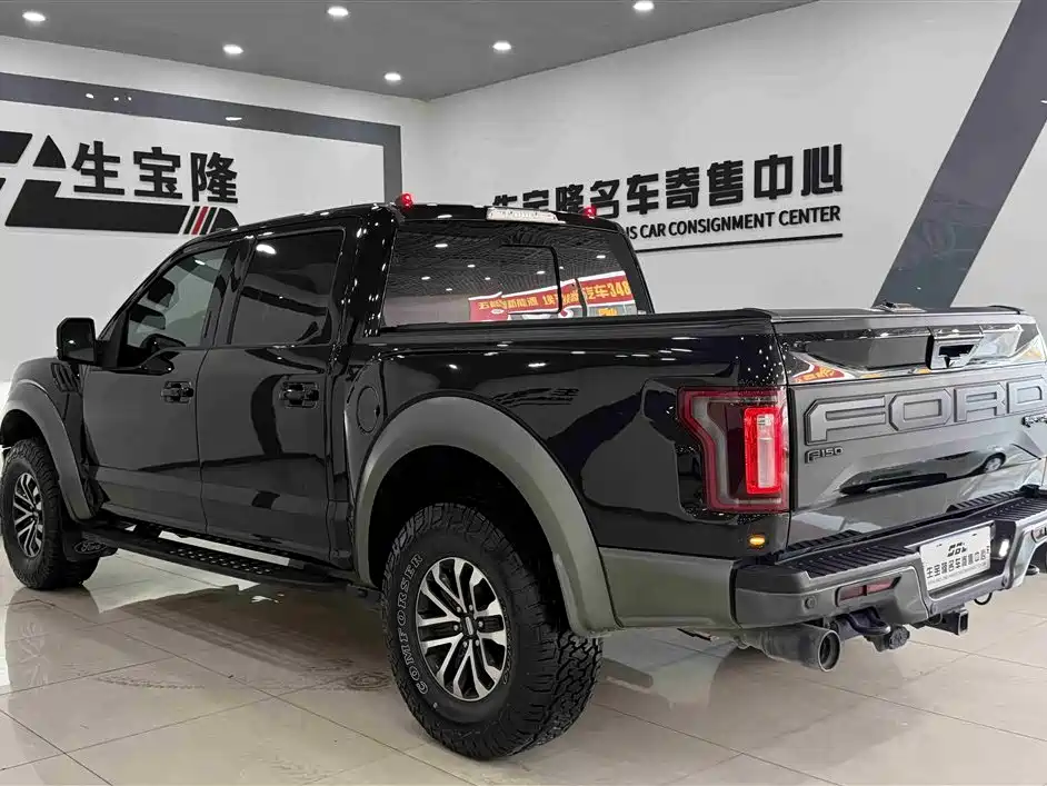 Ford F-150 Raptor 2019 — фото 6