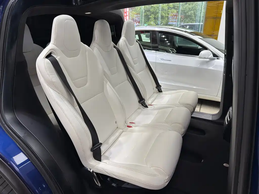 Tesla Model X 2017 — фото 19
