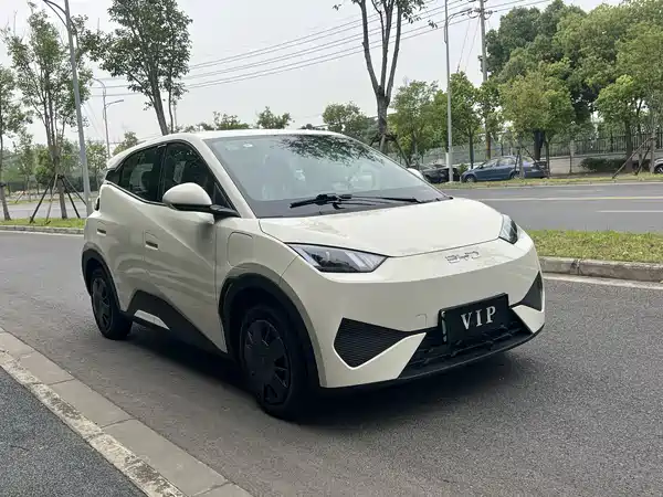 BYD Seagull 2025