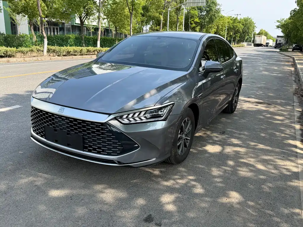 BYD Qin PLUS 2024 — фото 2