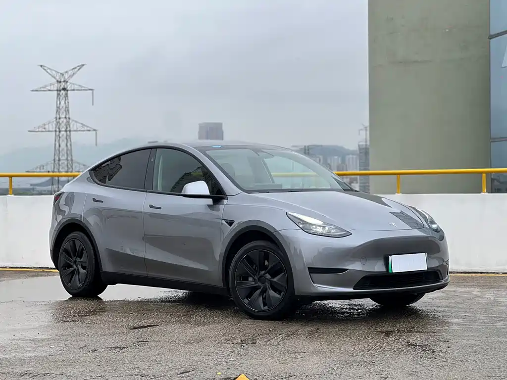 Tesla Model Y 2024 — фото 3