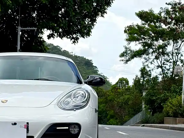 Porsche Cayman 2012
