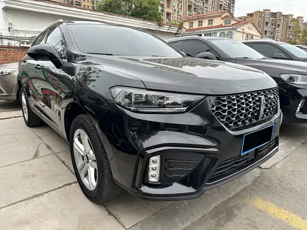 Wey VV5 2020