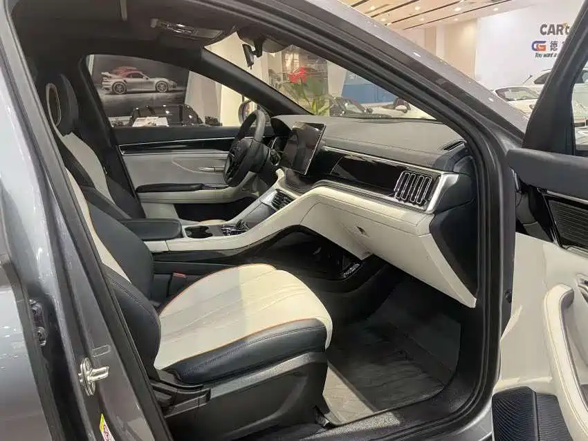 BYD PLUS New Energy 2024 — фото 14