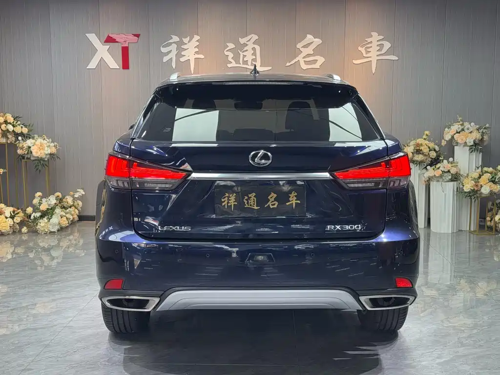 Lexus RX 2020 — фото 22