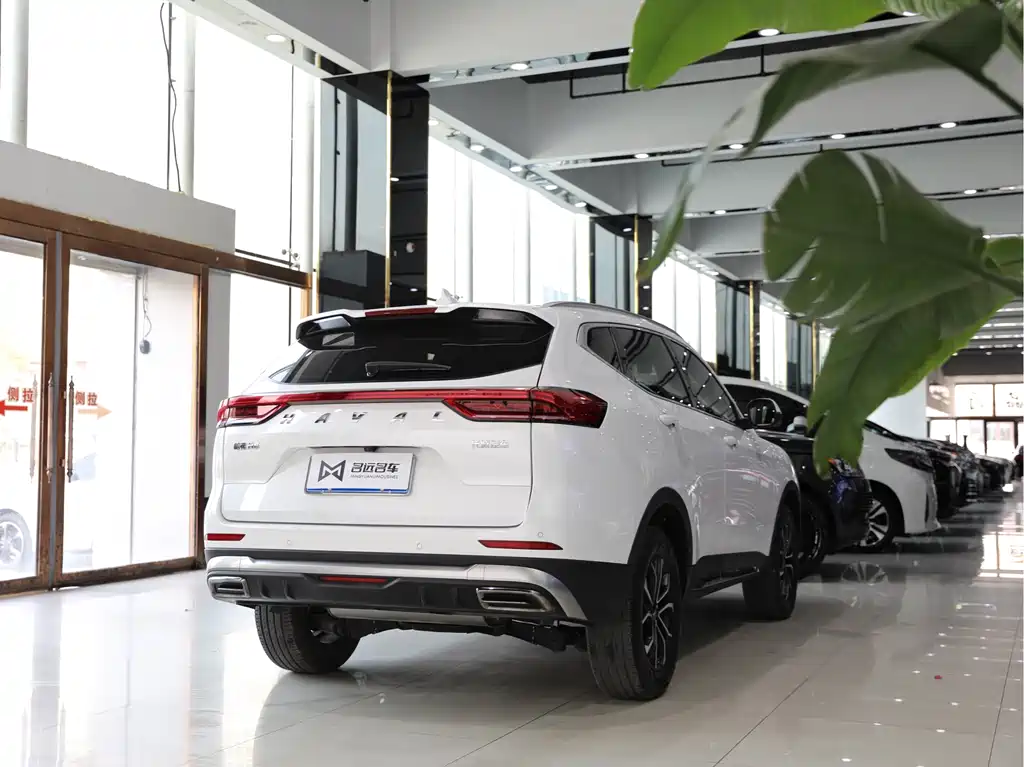 Haval H6 2023 — фото 15