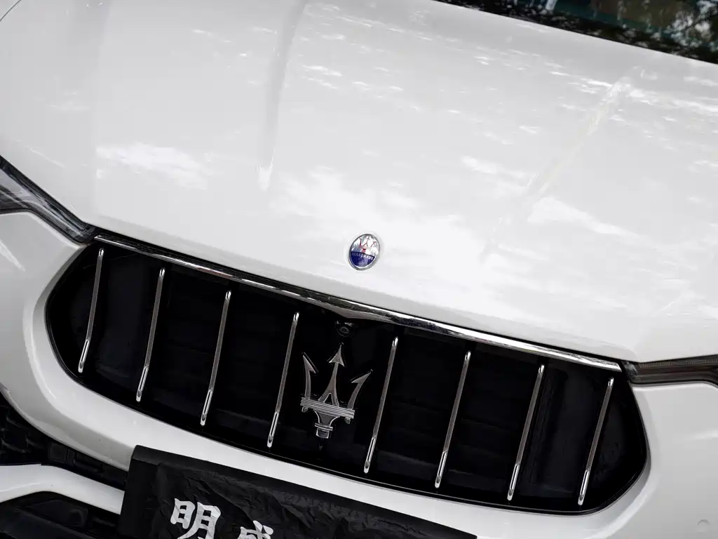 Maserati Levante 2019 — фото 15