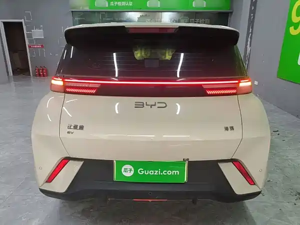 BYD Seagull 2024