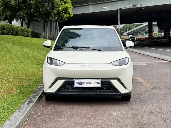 BYD Seagull 2024