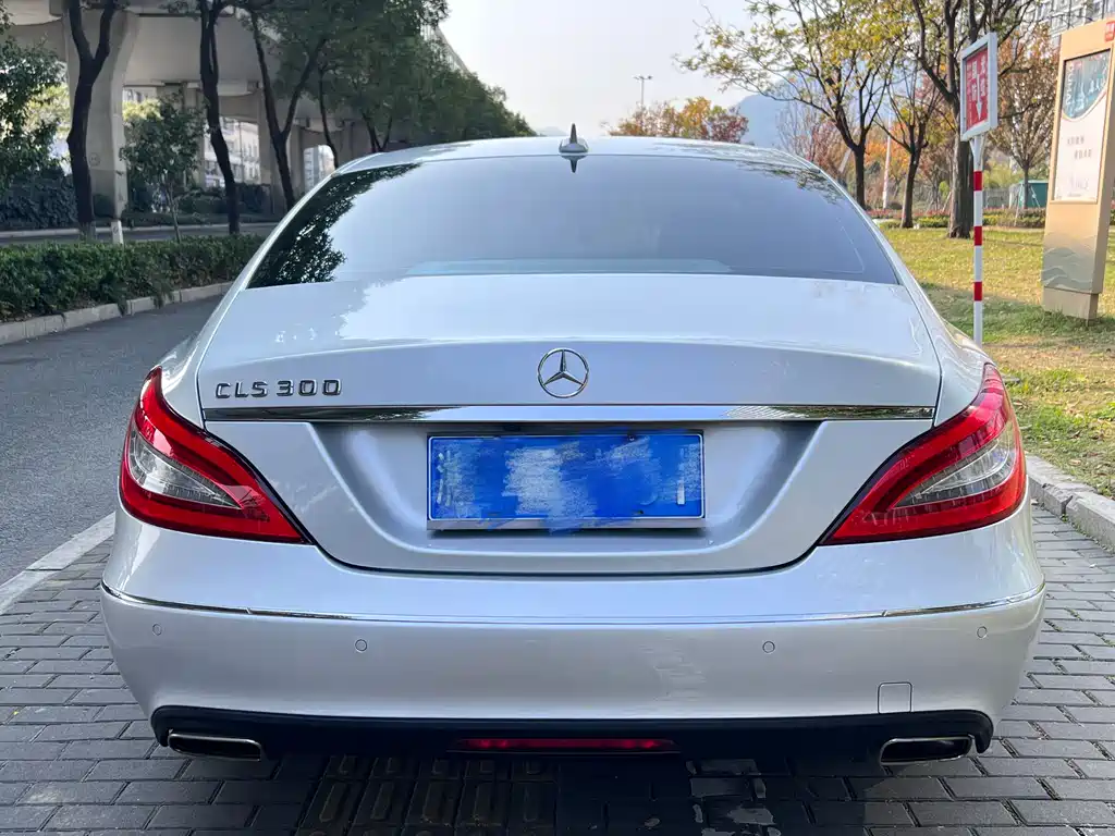 Mercedes-Benz CLS 2013 — фото 15