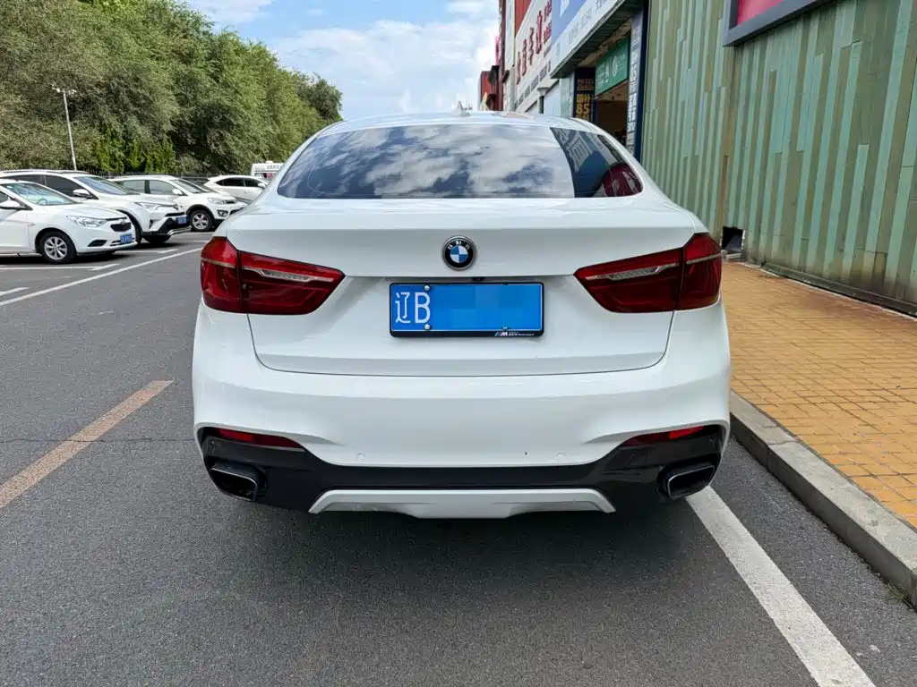 BMW X6 2017 — фото 13
