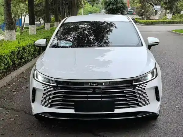 BYD Destroyer 05 2024