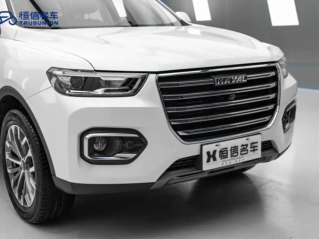 Haval H6 2019 — фото 8