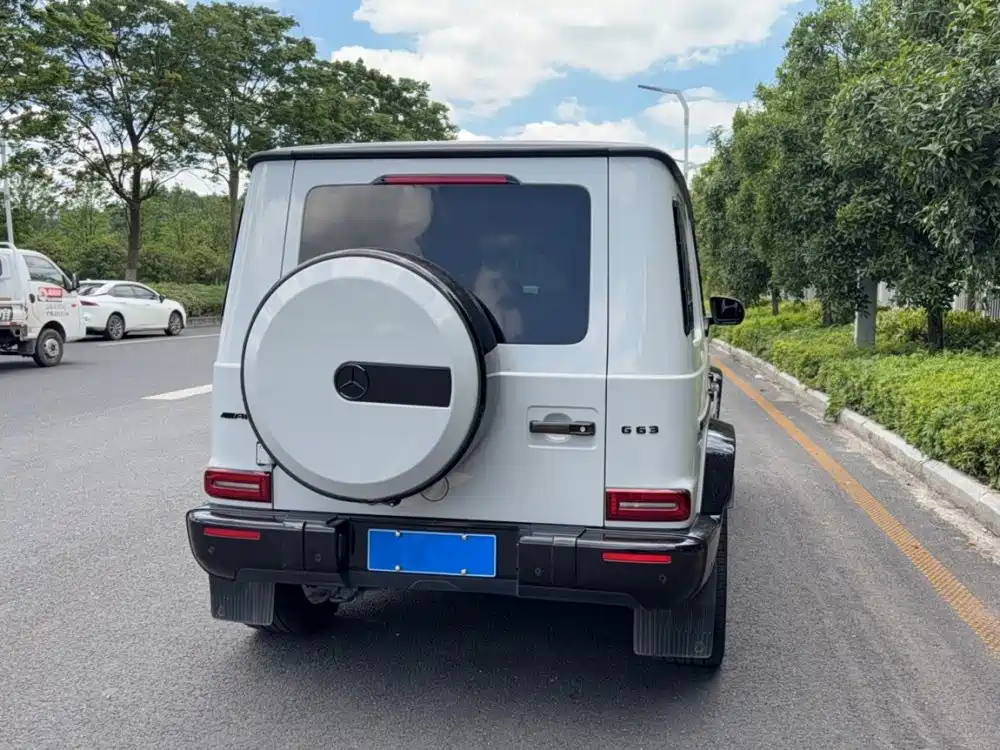 Mercedes-Benz G-Class AMG 2019 — фото 15
