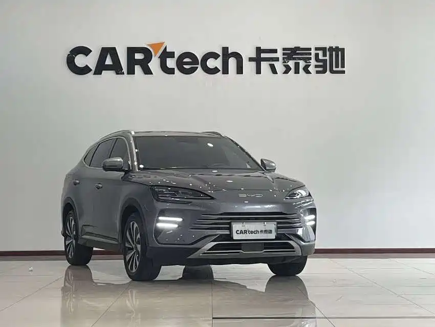 BYD PLUS New Energy 2024 — фото 2
