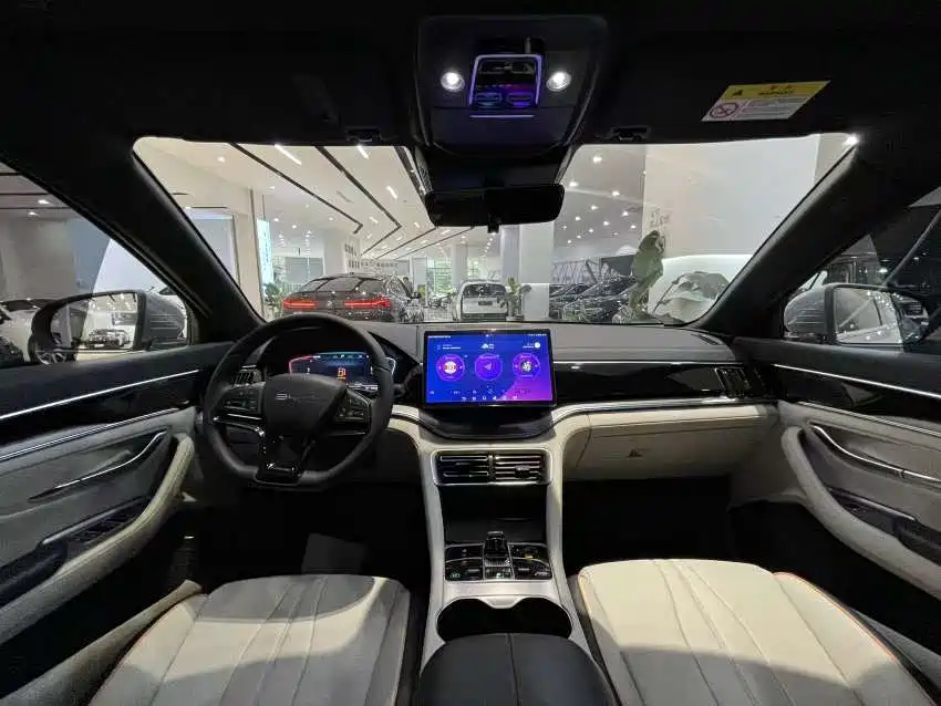 BYD PLUS New Energy 2024 — фото 15