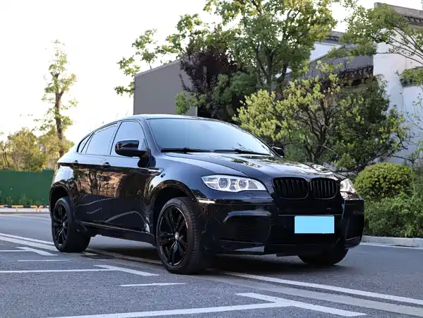 BMW X6 M 2010
