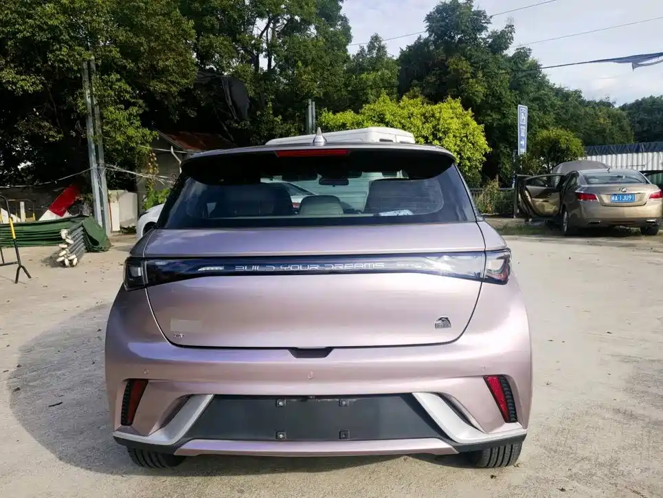 BYD Dolphin 2022