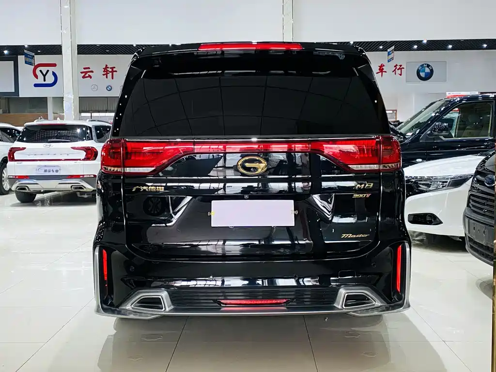 GAC Motor Trumpchi M8 2022 — фото 18