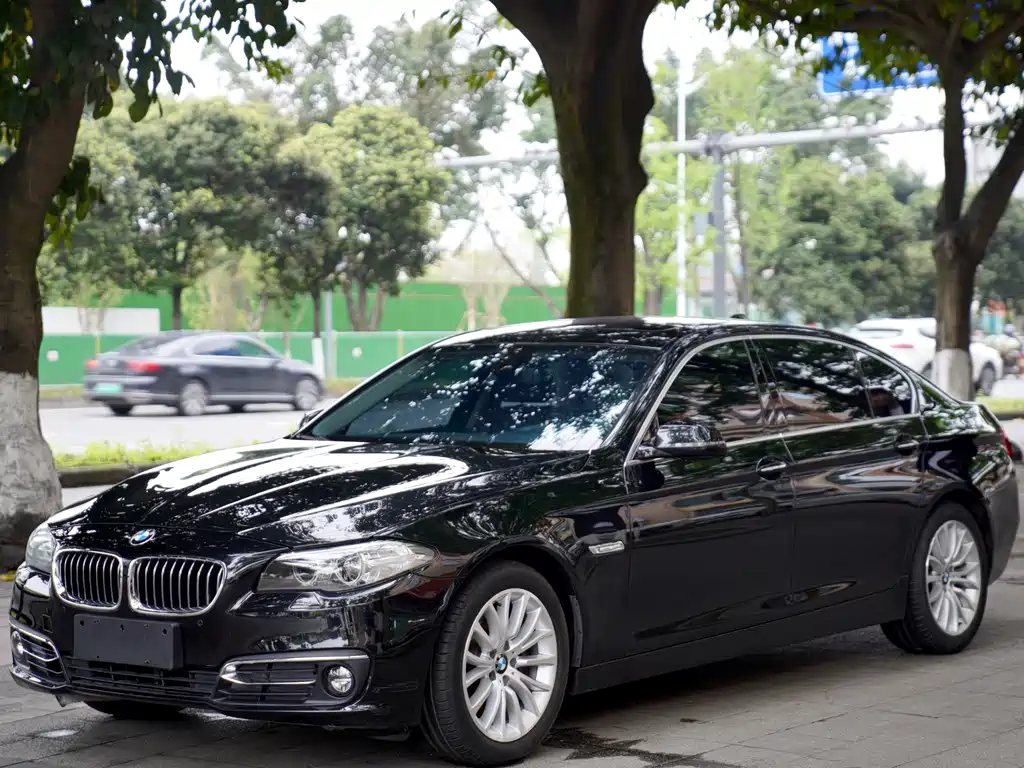 BMW 5 Series 2015 — фото 3