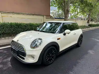 MINI MINI 2018