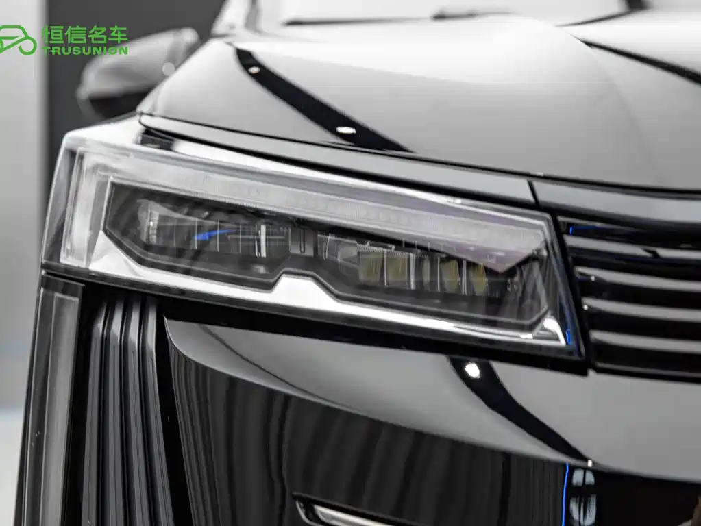 GAC Motor Trumpchi E9 2024 — фото 10