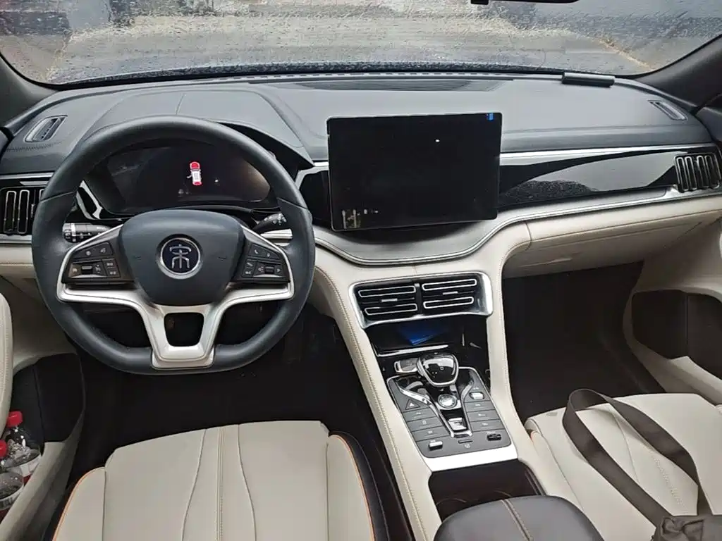 BYD Song PLUS New Energy 2021 — фото 16