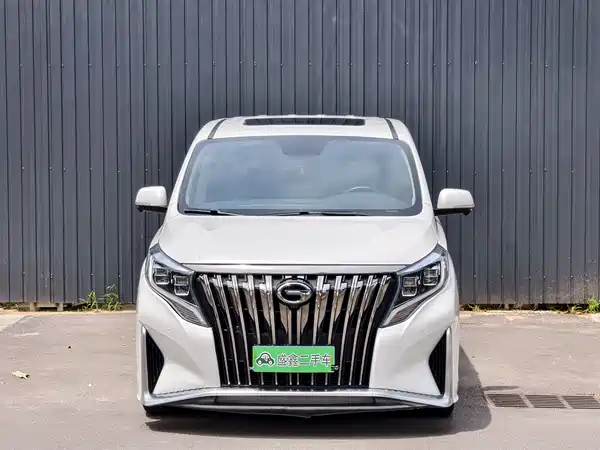 GAC Trumpchi M8 2020