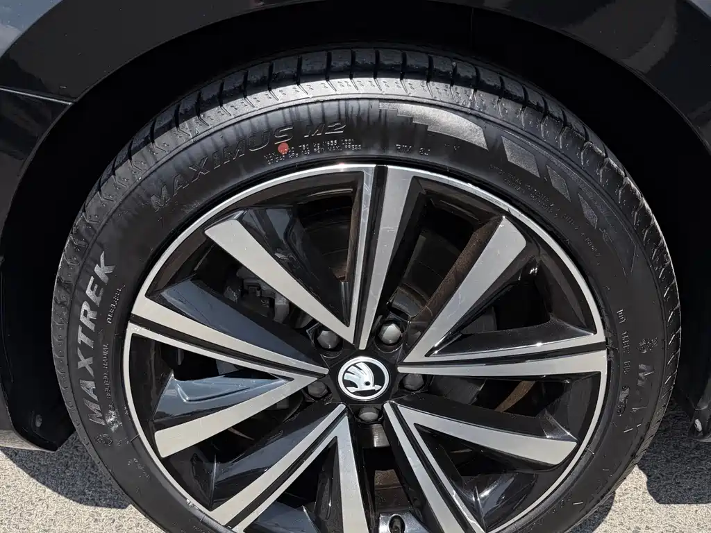 Skoda Speedy 2023 — фото 20