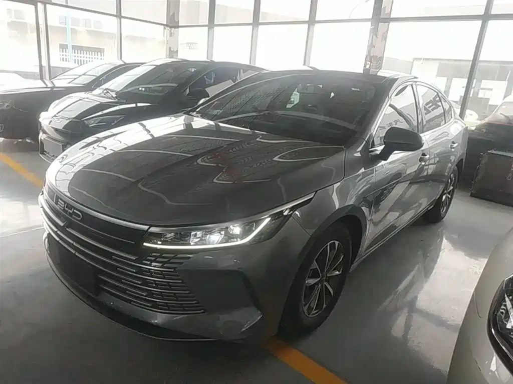 BYD Destroyer 05 2024 — фото 2