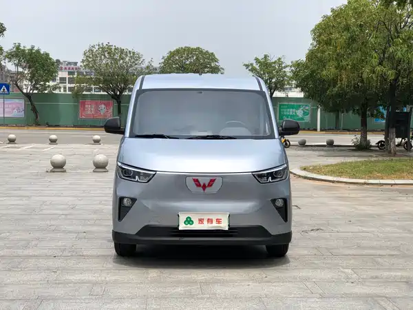 Wuling Yangguang 2025