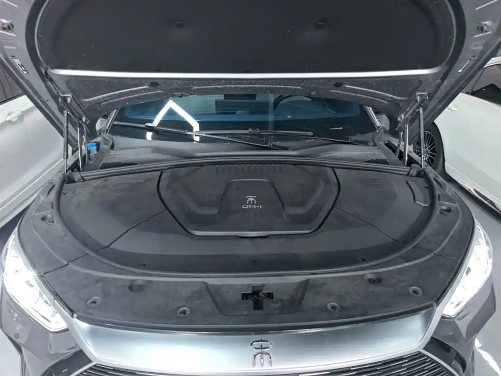 BYD PLUS New Energy 2023 — фото 20