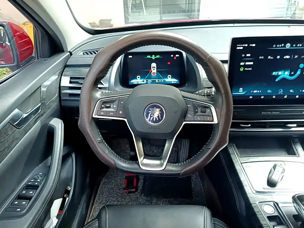 BYD Qin Pro NEV 2019 — фото 11