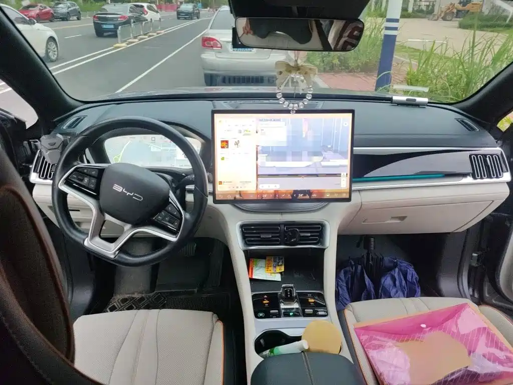 BYD Song PLUS New Energy 2023 — фото 13