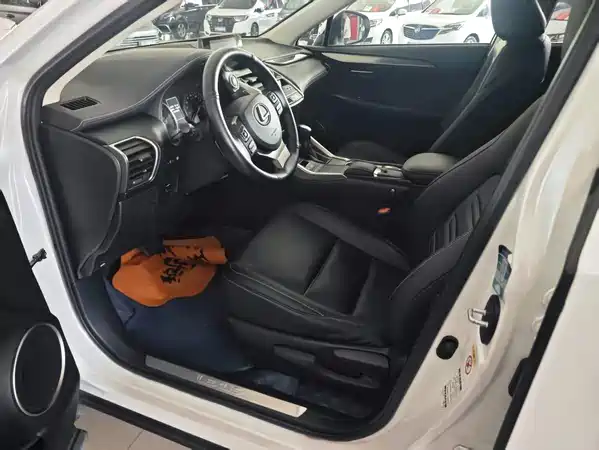 Lexus NX 2019