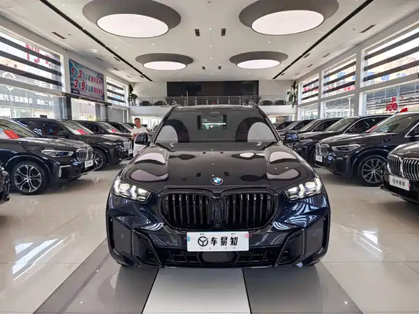 BMW X5 2024