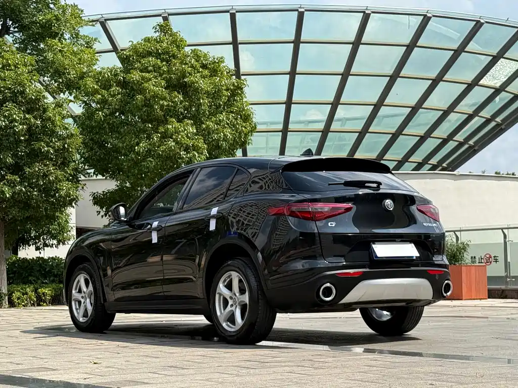 Alfa Romeo Stelvio 2019 — фото 9