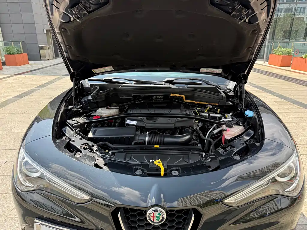 Alfa Romeo Stelvio 2019 — фото 10