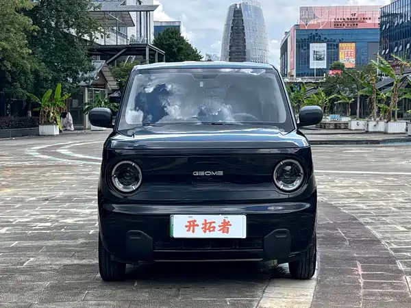 Geely Galaxy Panda 2024