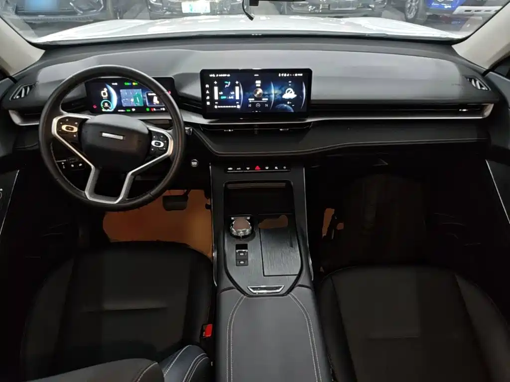 Haval H6 New Energy 2023 — фото 10